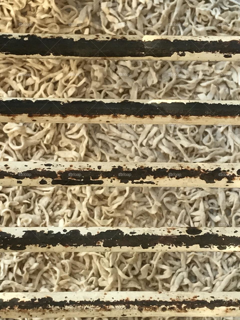 Looking closely, there are bars everywhere,