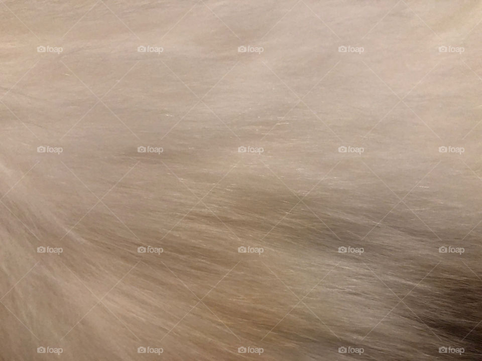 white wool texture
