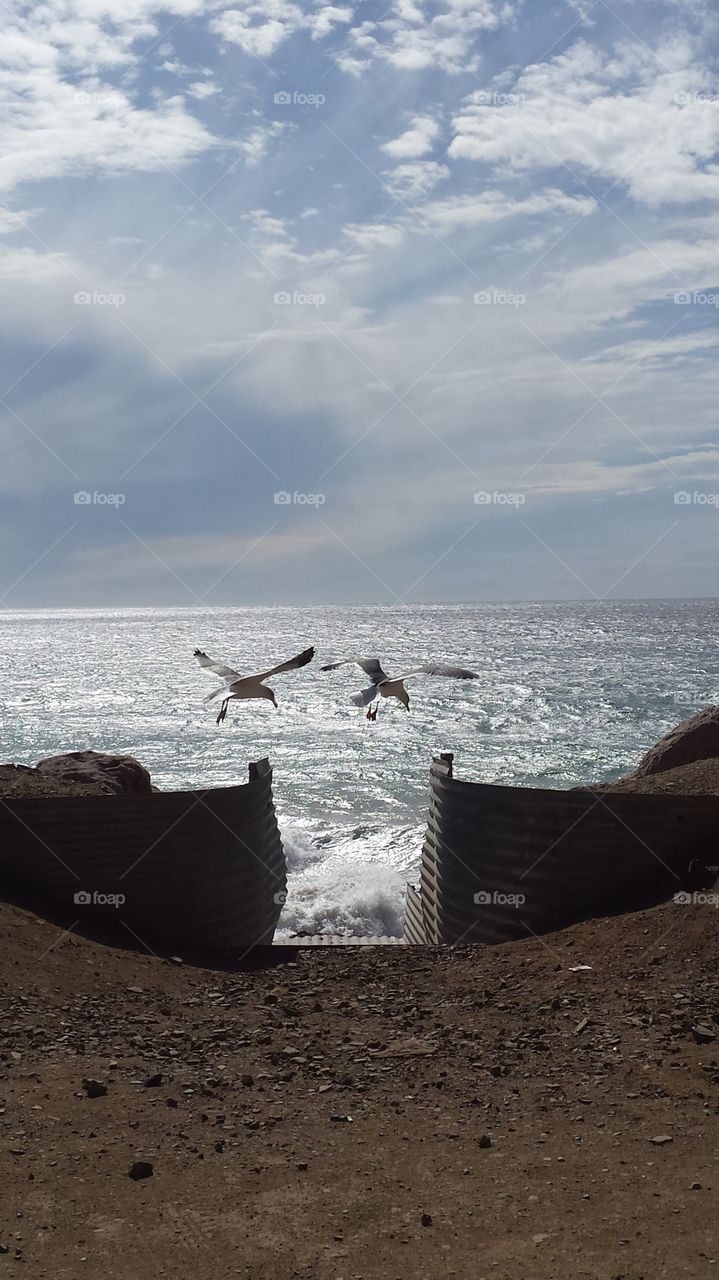 peaceful landing