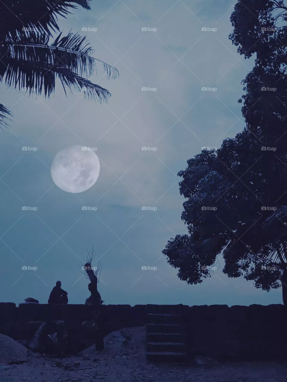 talk to the moon