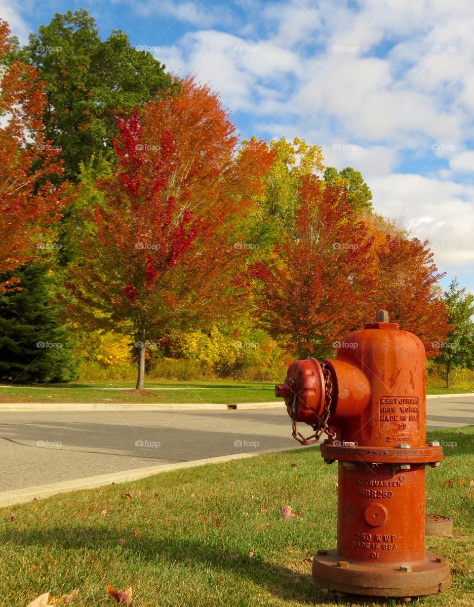 Fall fire hydrant. Fall fire hydrant, MI