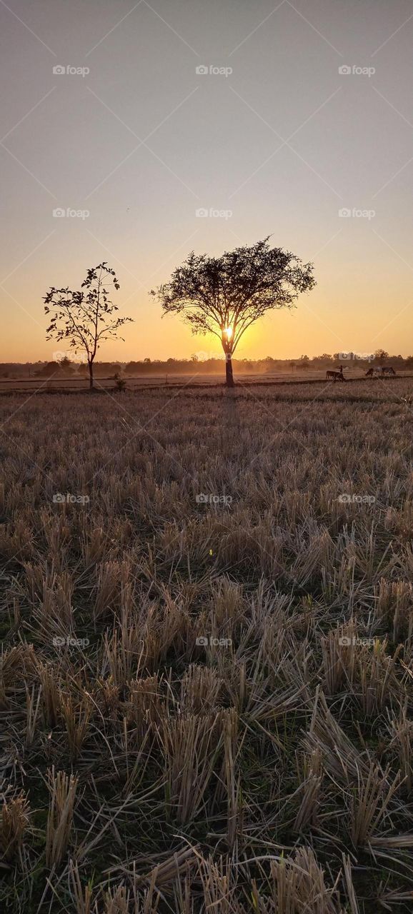 sun of beautiful view 😍