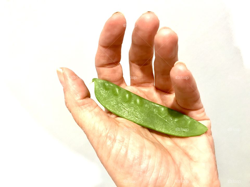 One Pea Pod in Hand