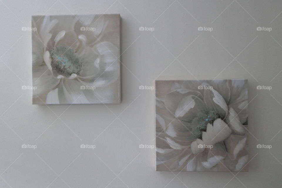 twin teel and white chrysanthemum flower pictures on a Wall