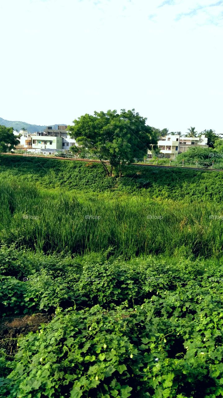 image frameimage download,
Continue