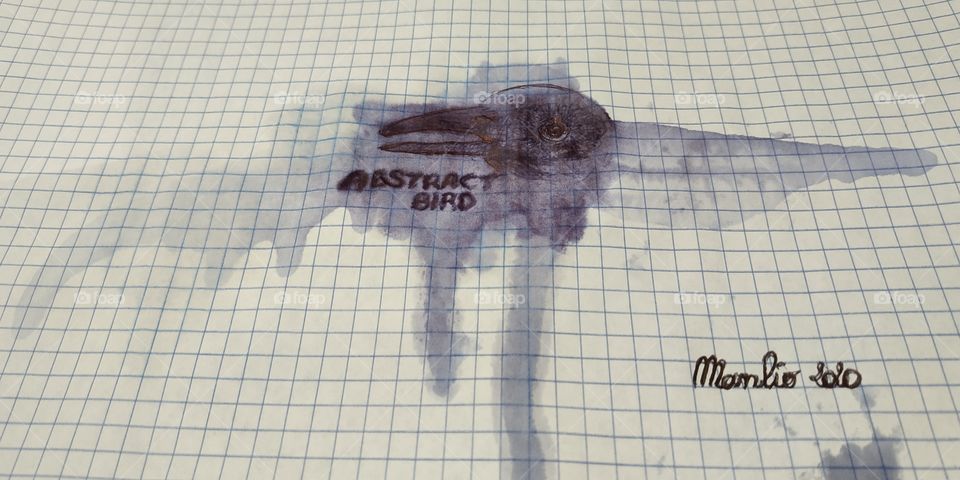 An artistic design created by i4elmenti.it on a checkered sheet with a ballpoint pen and then decorated only with water. It represents a bird immersed in the fog.