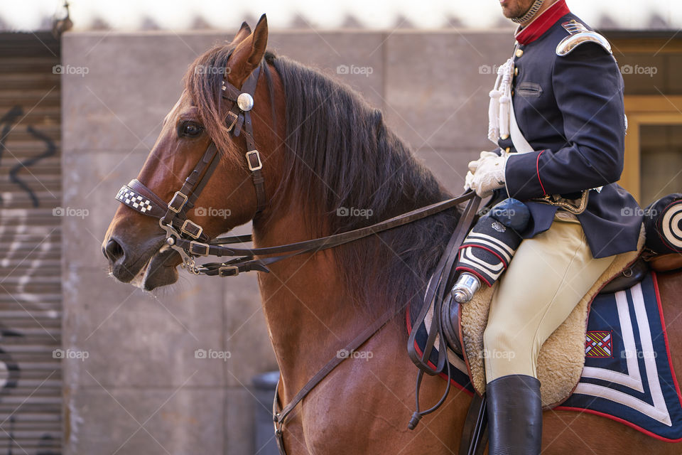 Urban jockey