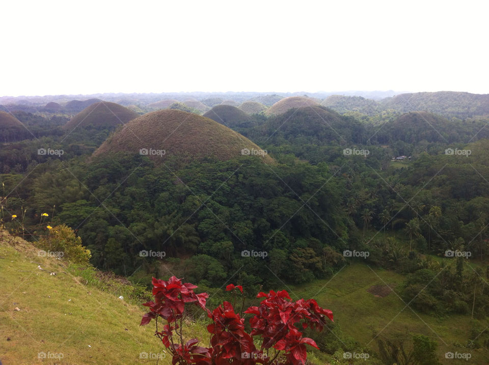 philippines lumpy landforms chocolate hills bohol philippines by martin.dickson.3
