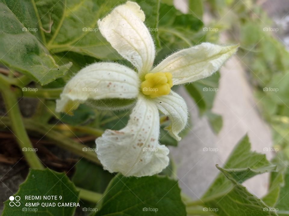 How much do you like this photo