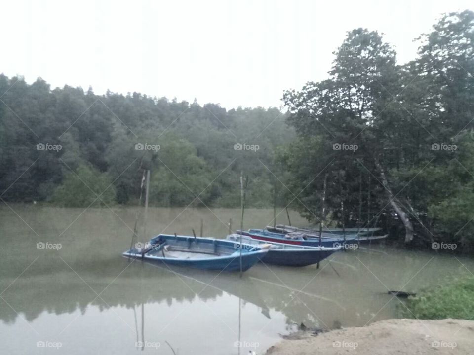 Water, Nature, No Person, River, Wood