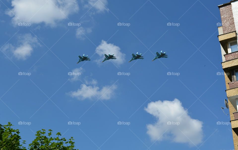 Sky, No Person, Outdoors, Blue Sky, Bird