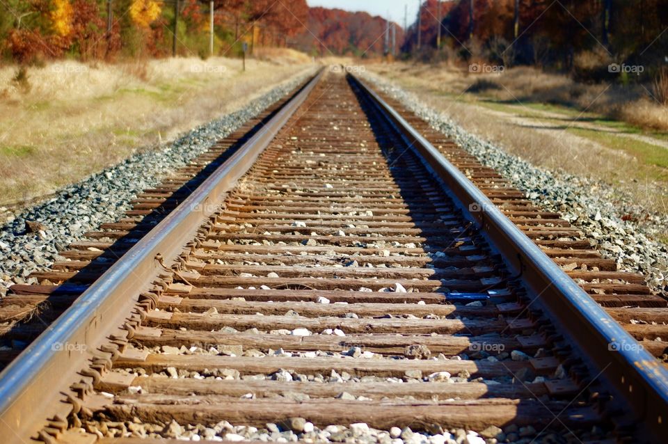 Railroad Tracks 