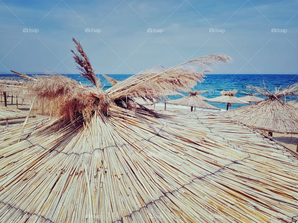 Sunny beach umbrellas
