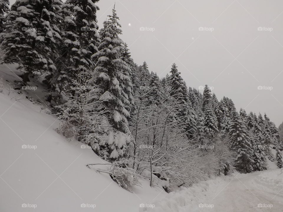 Snow Rugova Kosovo