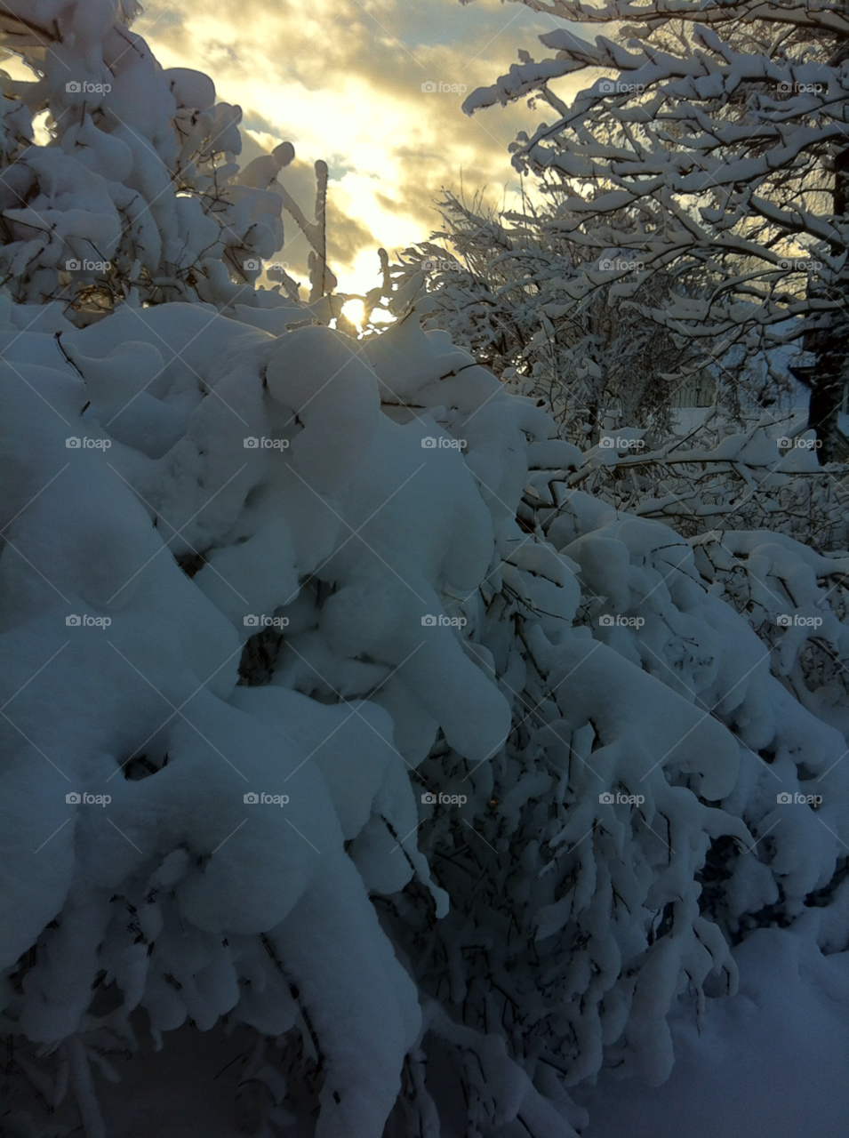 haninge sweden snow winter by tild