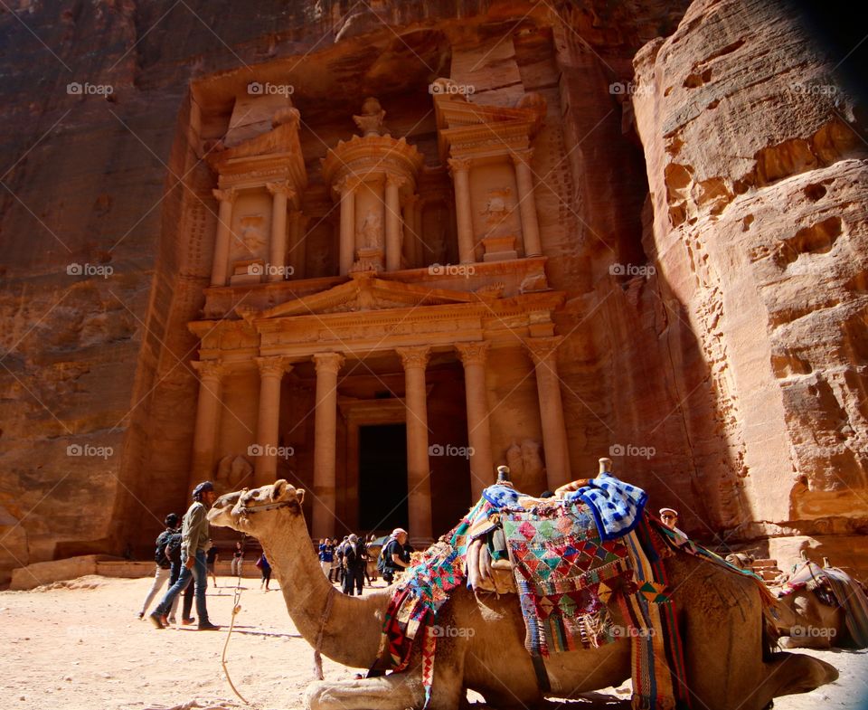 Petra 