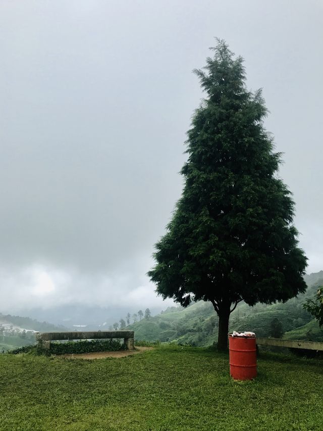 Highland view 