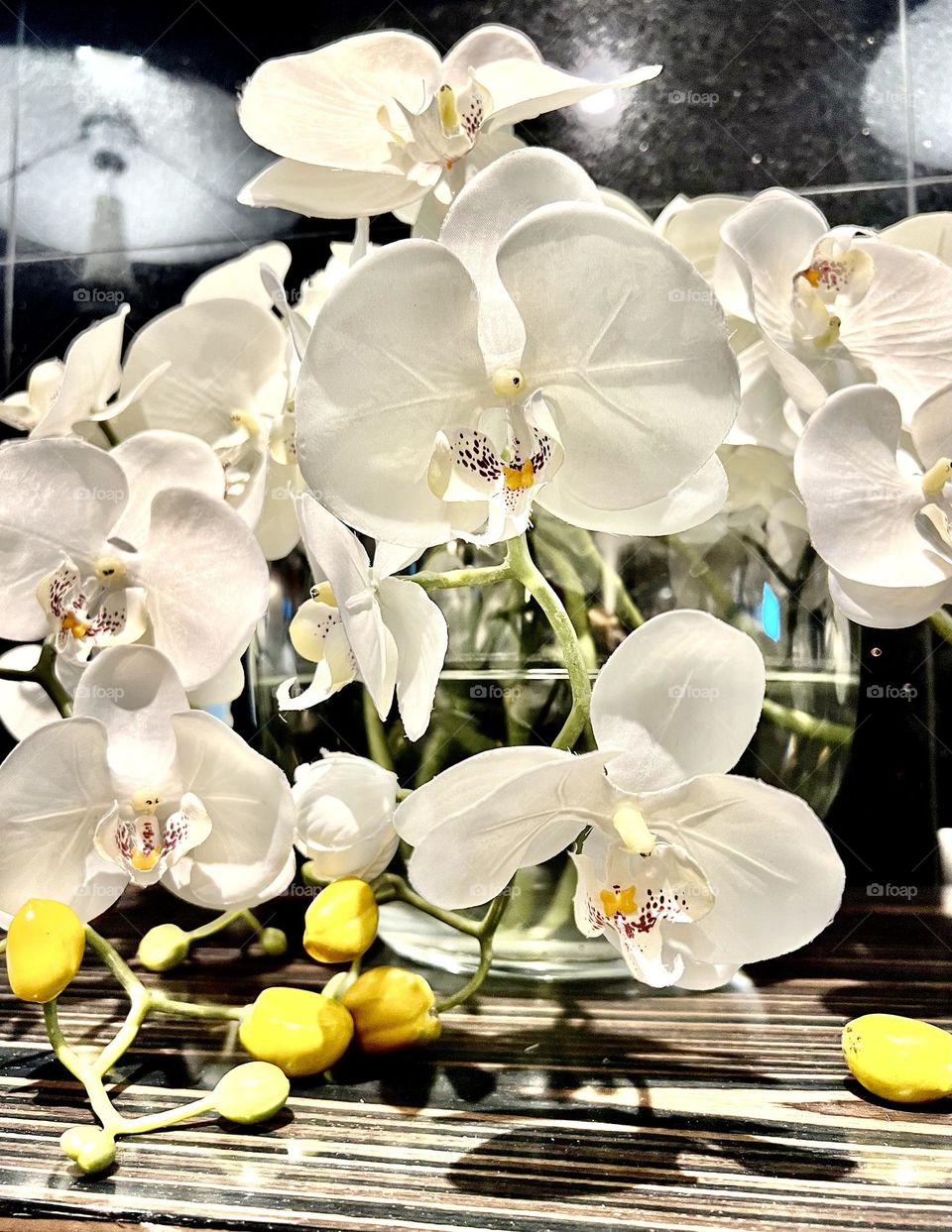 Phalaenopsis nice. Orchid