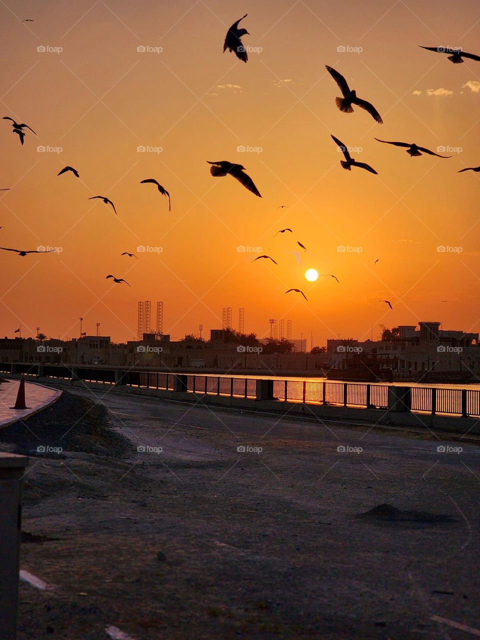 Something beautiful is on the horizon.