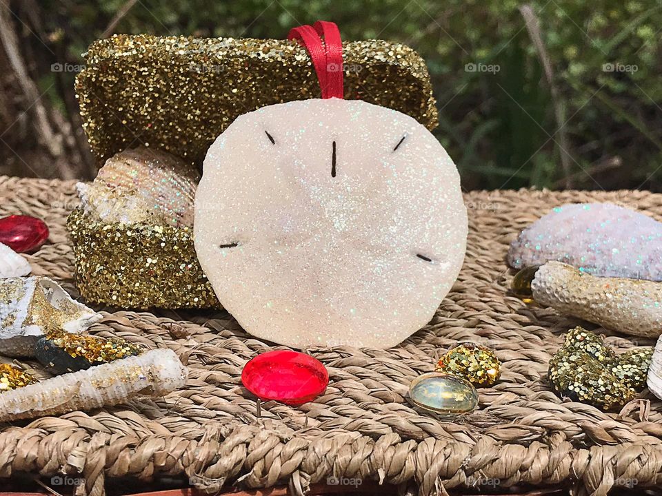Round sparkling Ocean Sand dollar. 