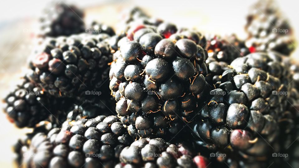 Fruit, black, berries, close-up