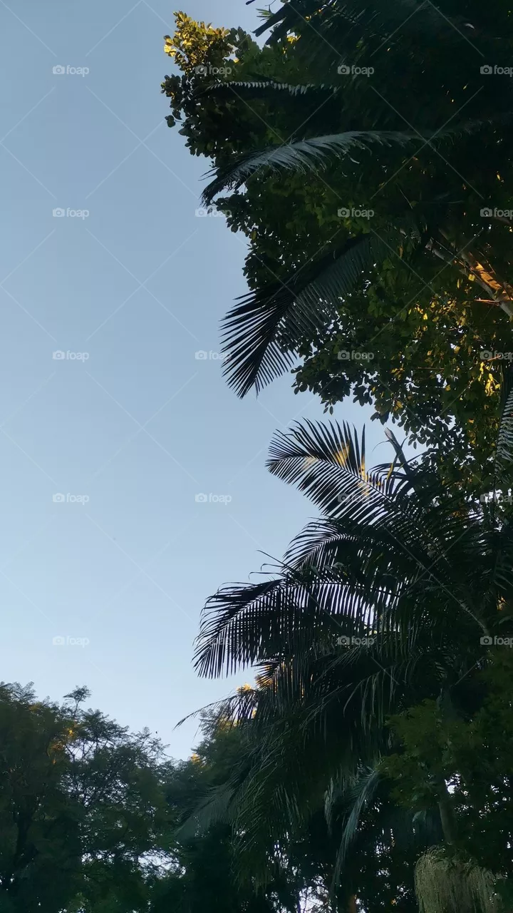 Aesthethic sky wallpaper
