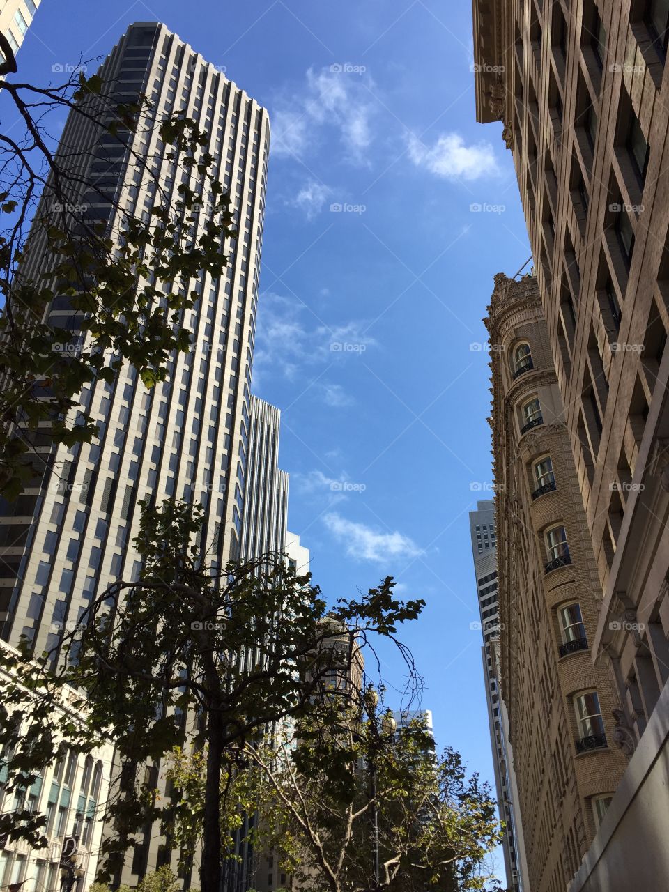 Looking up at downtown,LA. Looking up at downtown,LA