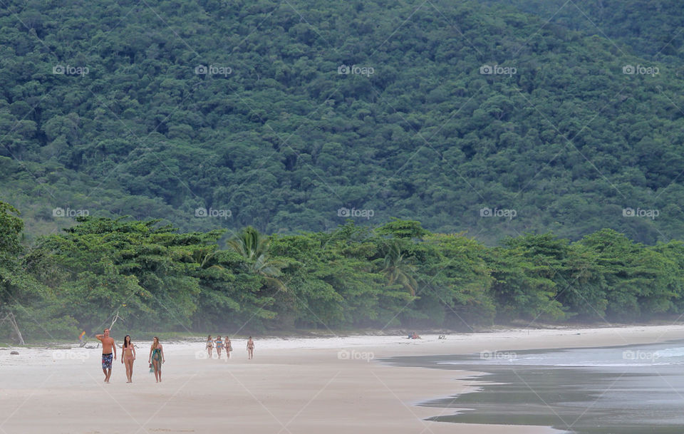 beach summer forest jungle by liondb1