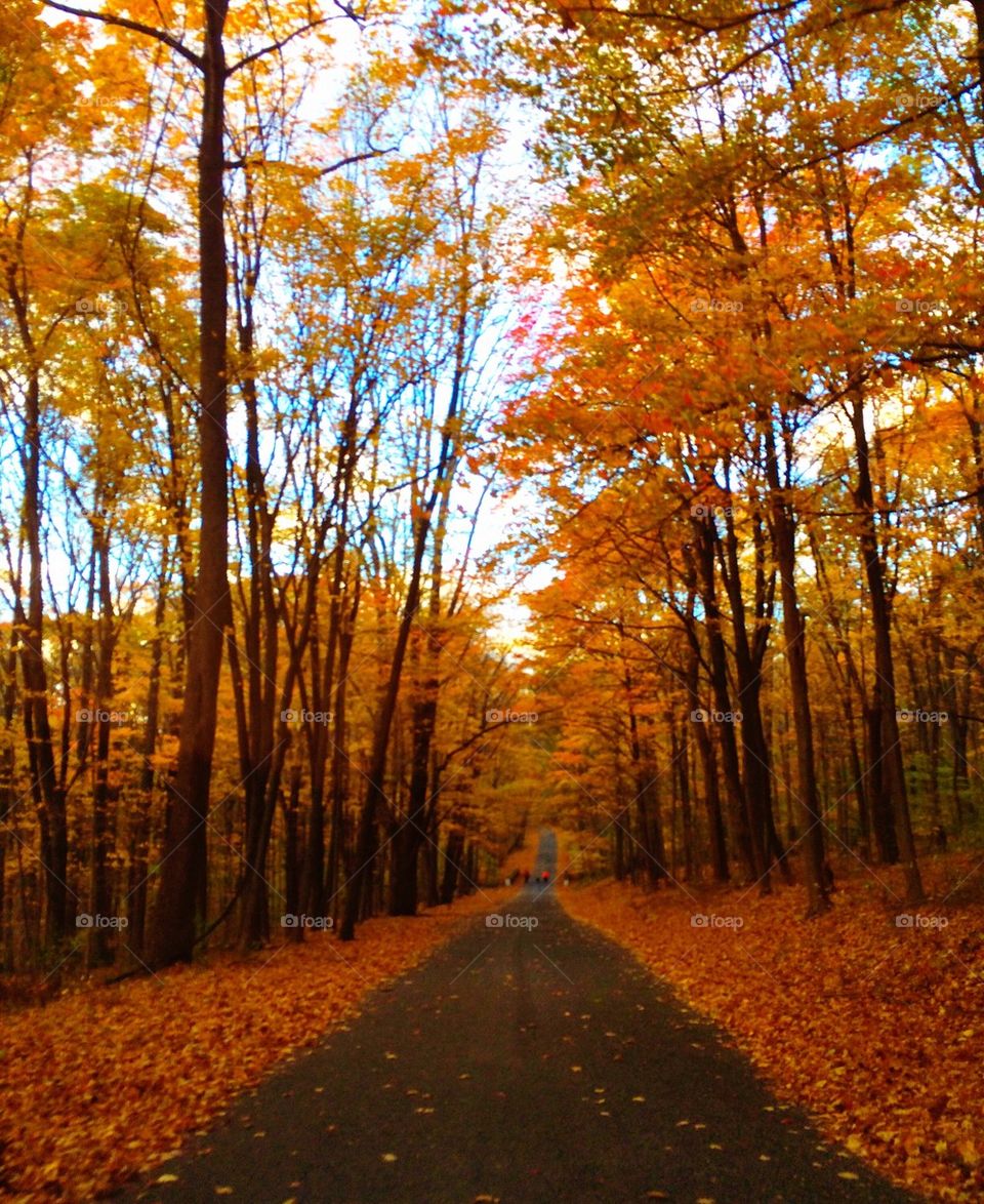 October road