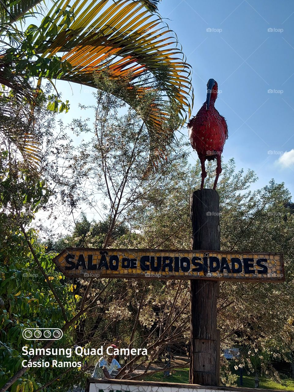 salão de curiosidades