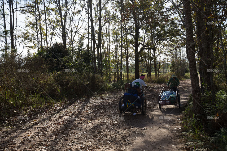 Man carrying cart in the forest 