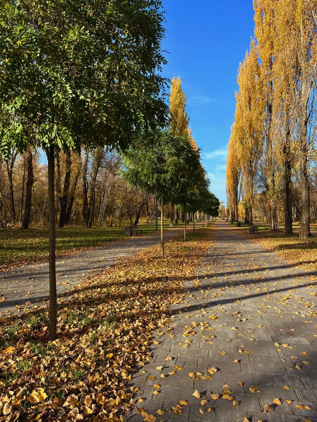 Kyiv 