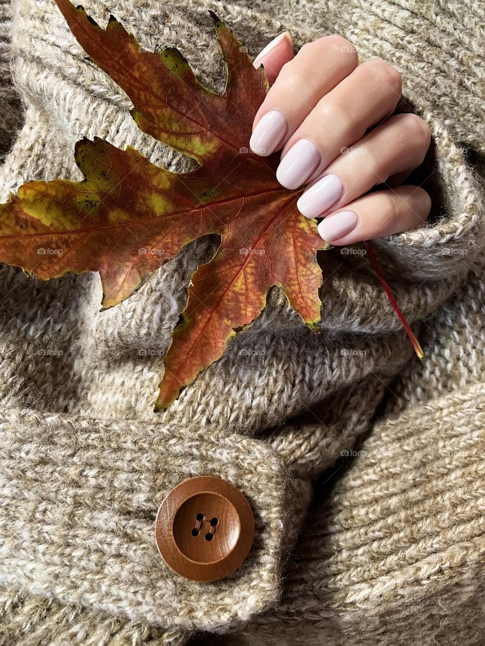 Female manicure 