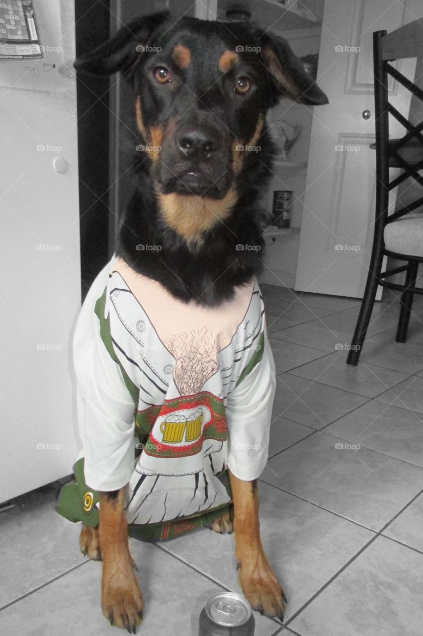 Jake is very excited for October fest 