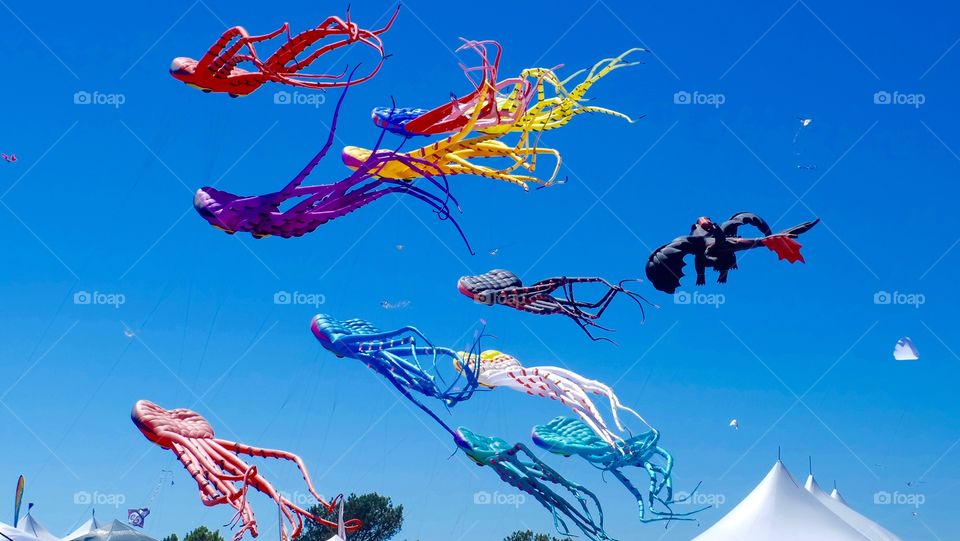 Kites in a festival. Vibrantly colored kites take to the blue sky