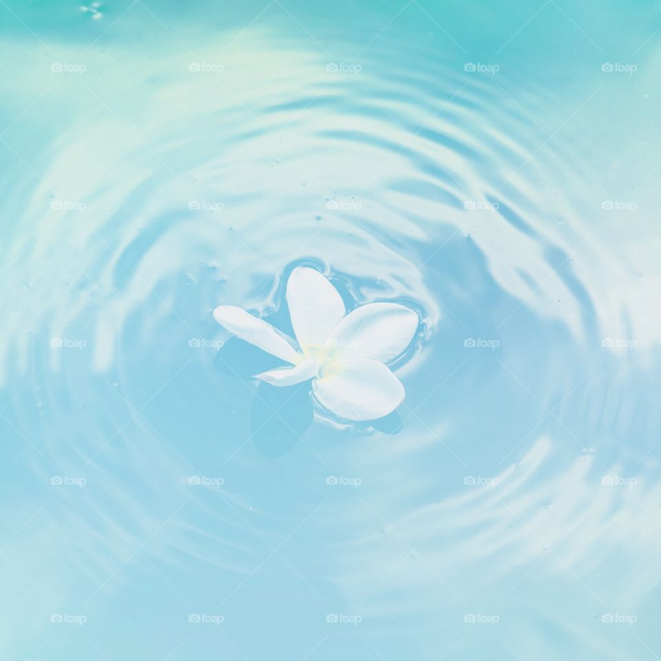 Flower in da lake (Getty Images)