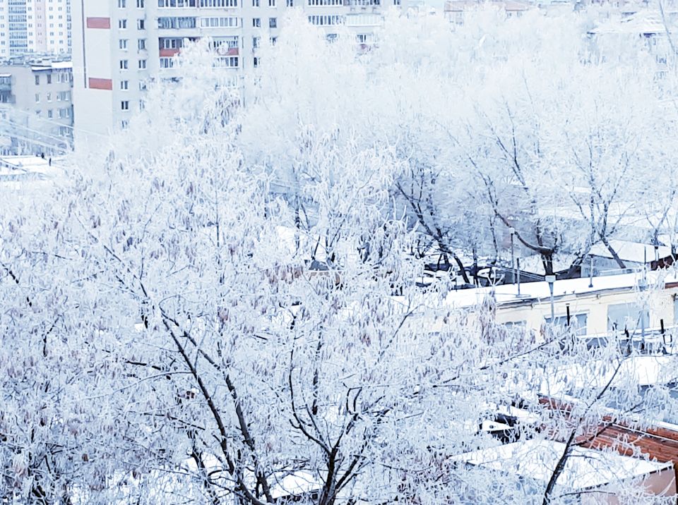 View from the window