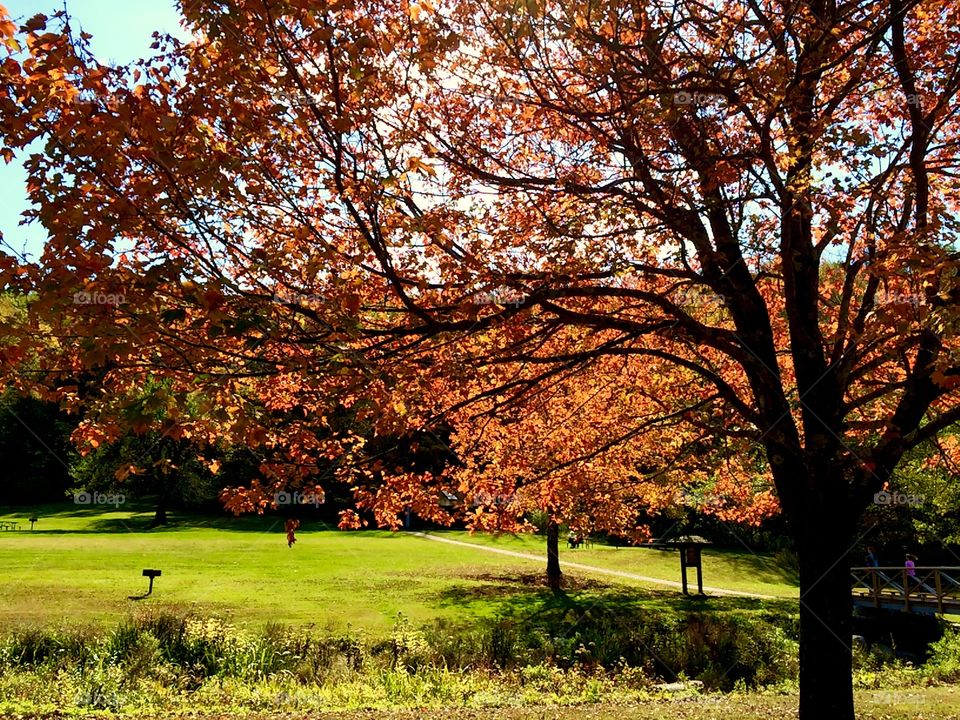 Kent Falls State Park, CT