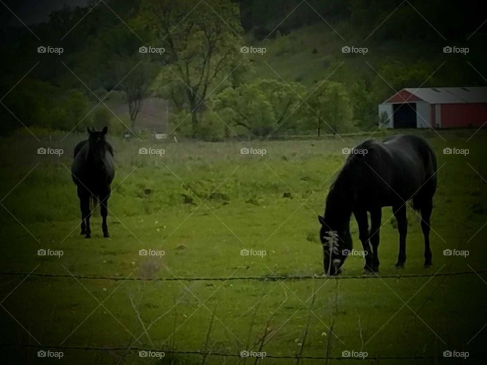 Driving the Back Roads and enjoying everything around us