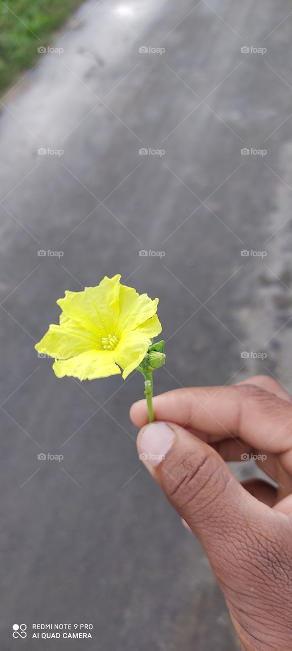 It is a very beautiful flower. Whose vegetable it is made and it is very tasty