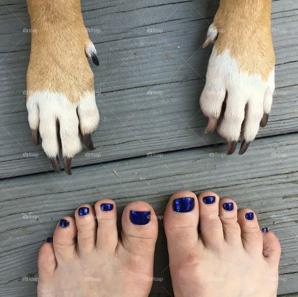 Paws and feet