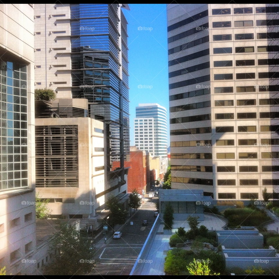 Looking Downtown. Downtown Portland Oregon