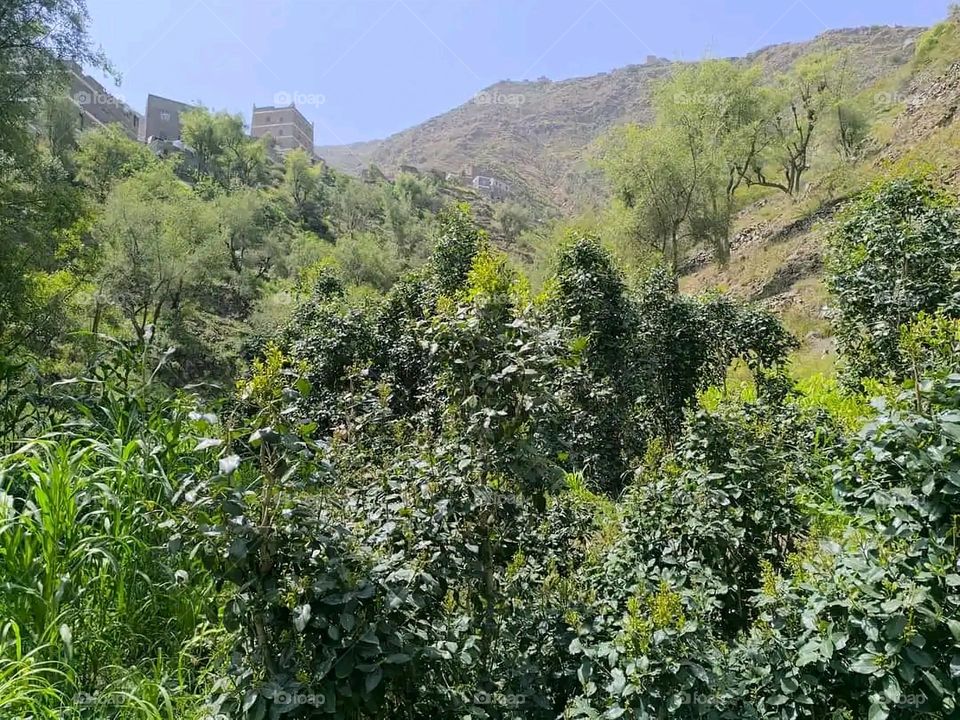 Glory be to God, the magnificent and picturesque view and the natural green trees are a view that is nothing more wonderful than it