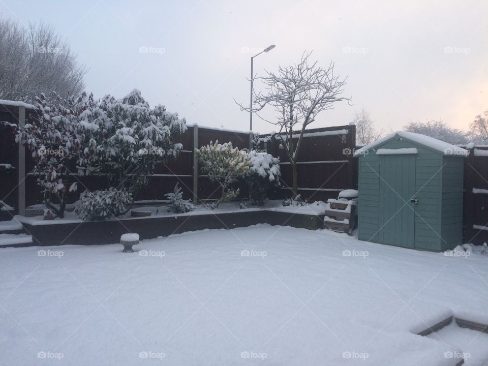 Snowy winter garden scene 