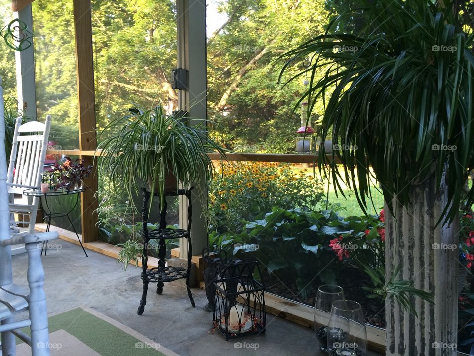 Plants on the porch