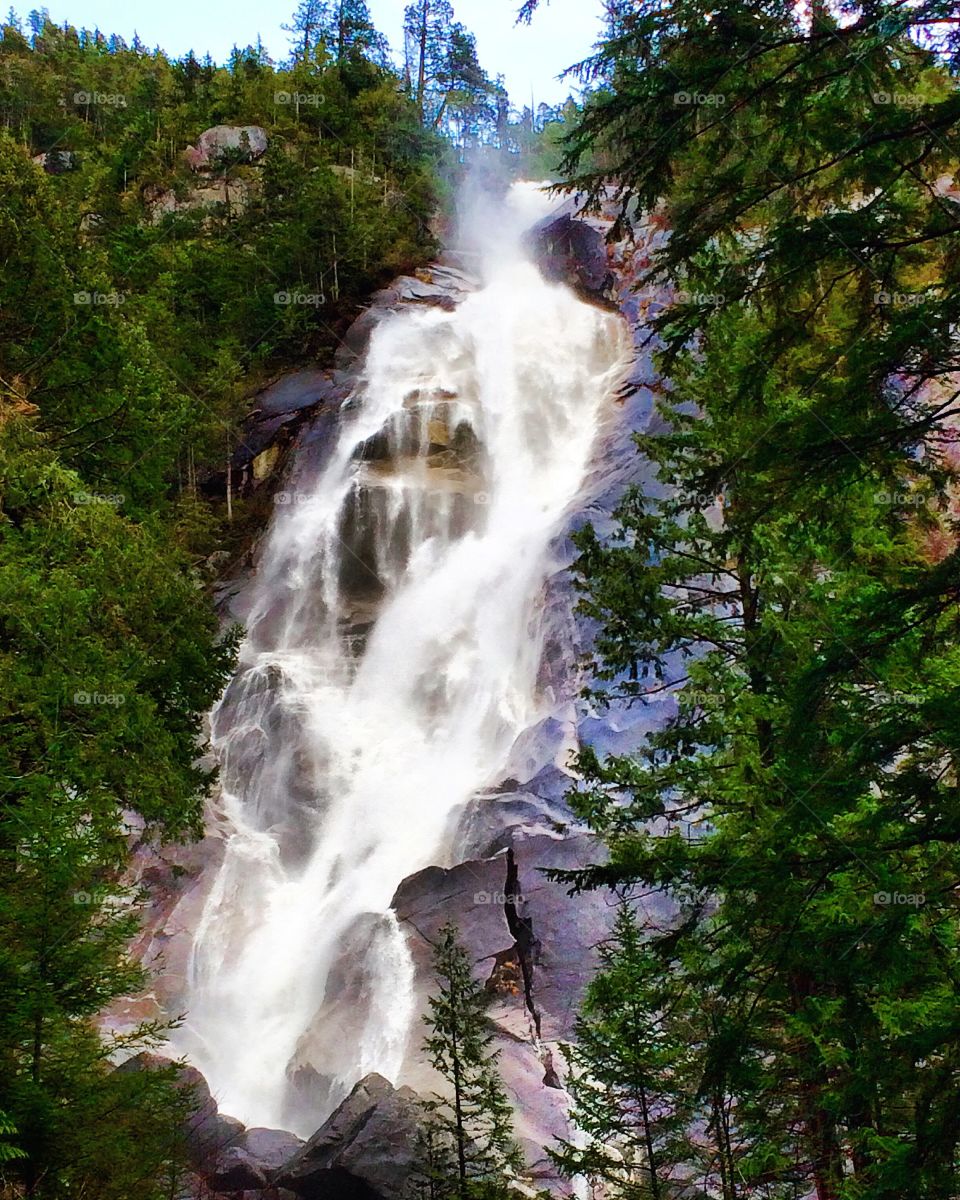 The roaring waters of Shannon Falls.