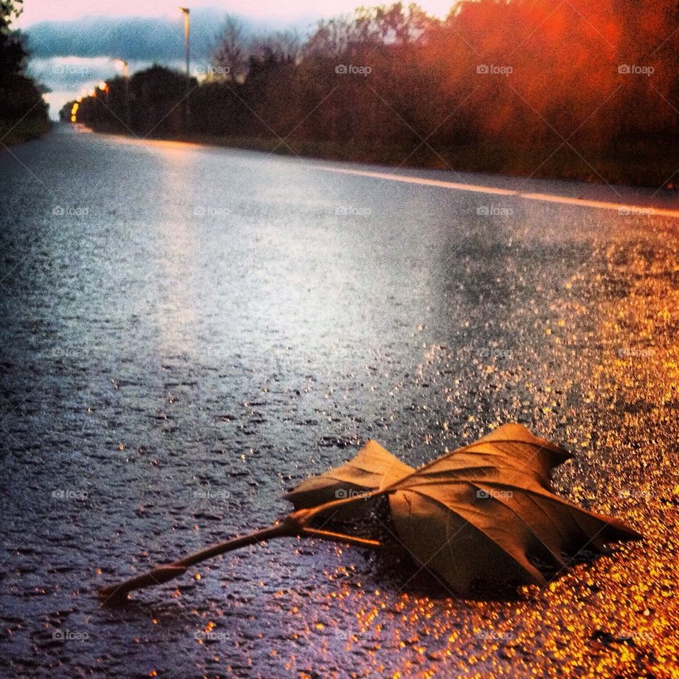 Left alone in the darkness of fall