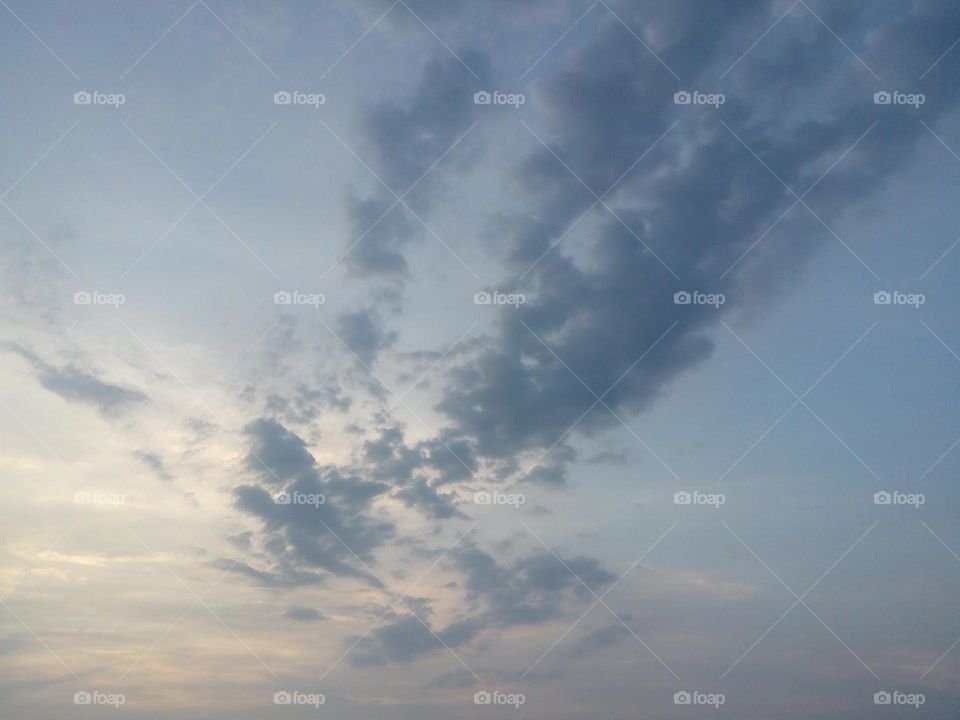 not just a cloud. Its a birdcloud