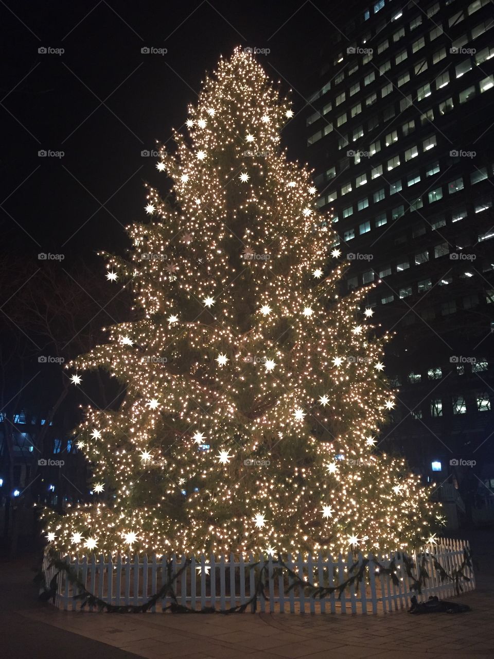 Metro tech xmas tree