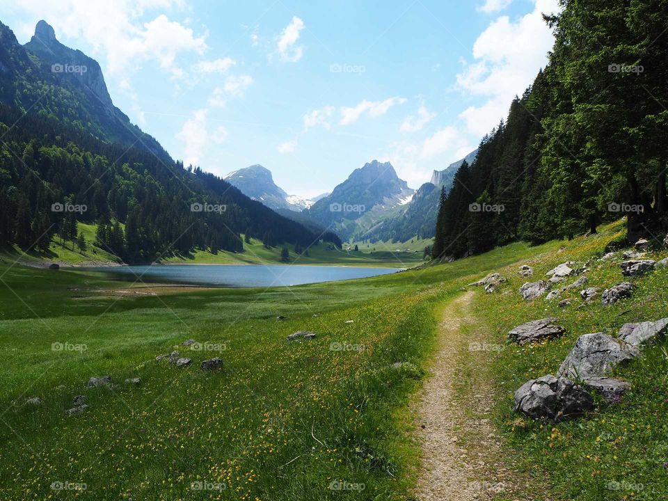 Swizerland in summer